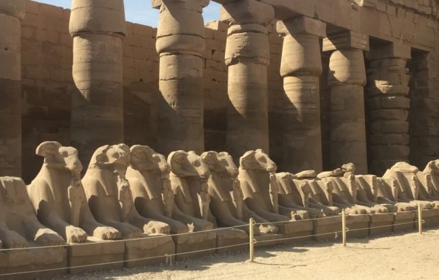Day trip from Hurghada to Luxor in mini group