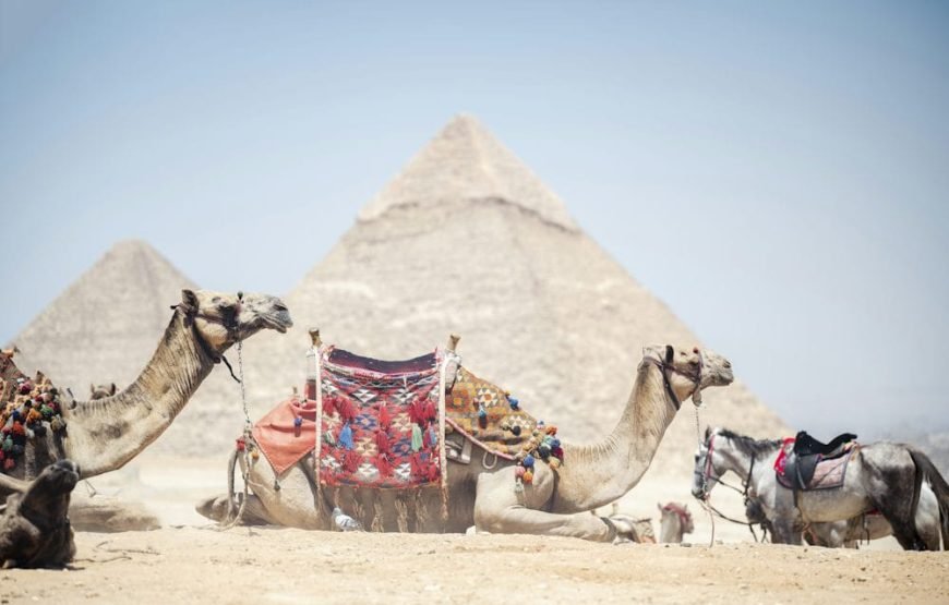 Private trip to Cairo