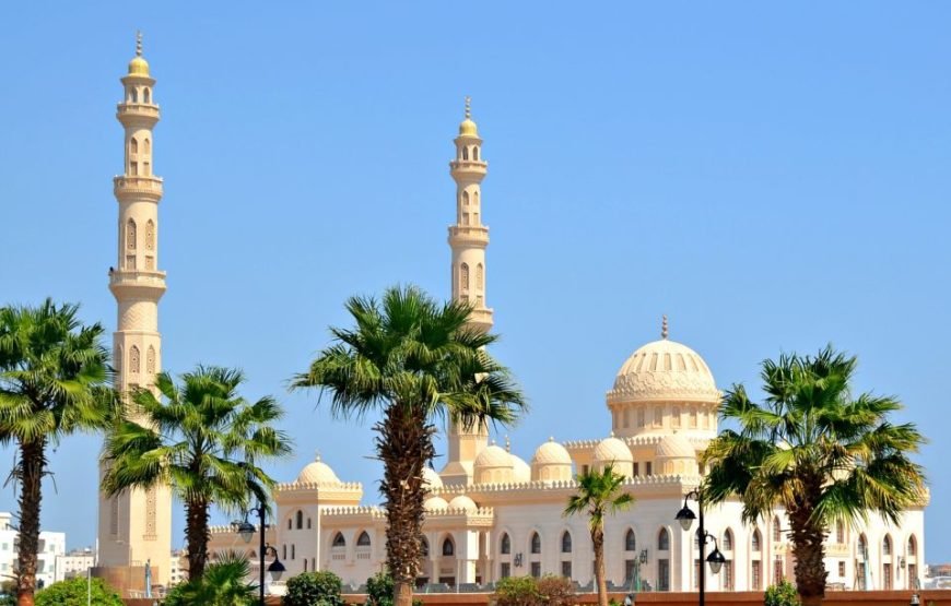 Explore Hurghada: Private City Tour with Trendy Tours Description .