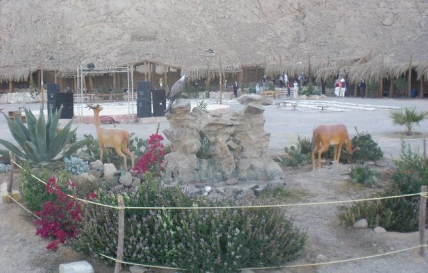 JEEP SAFARI IN HURGHADA